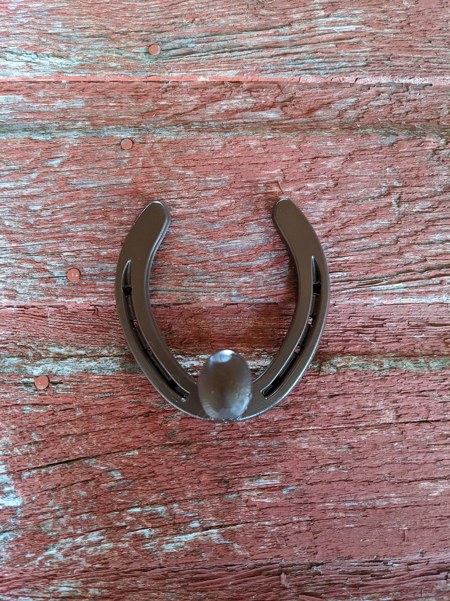 Railroad Spike Horseshoe Hook- hind