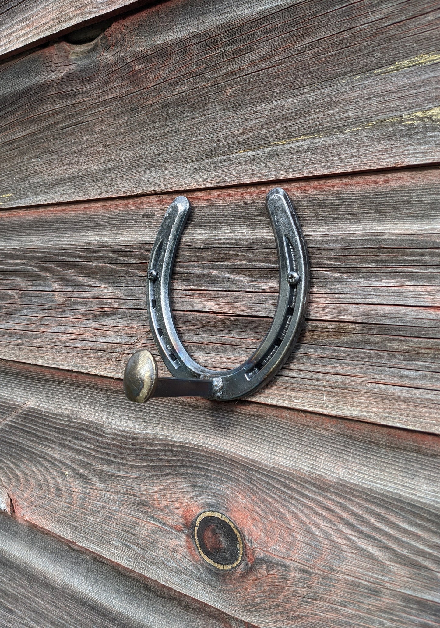 Railroad Spike Horseshoe Hook- hind